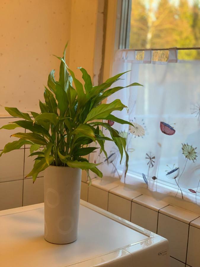 Cozy House In Kosta Center Surrounding With Swedish Nature Екстер'єр фото