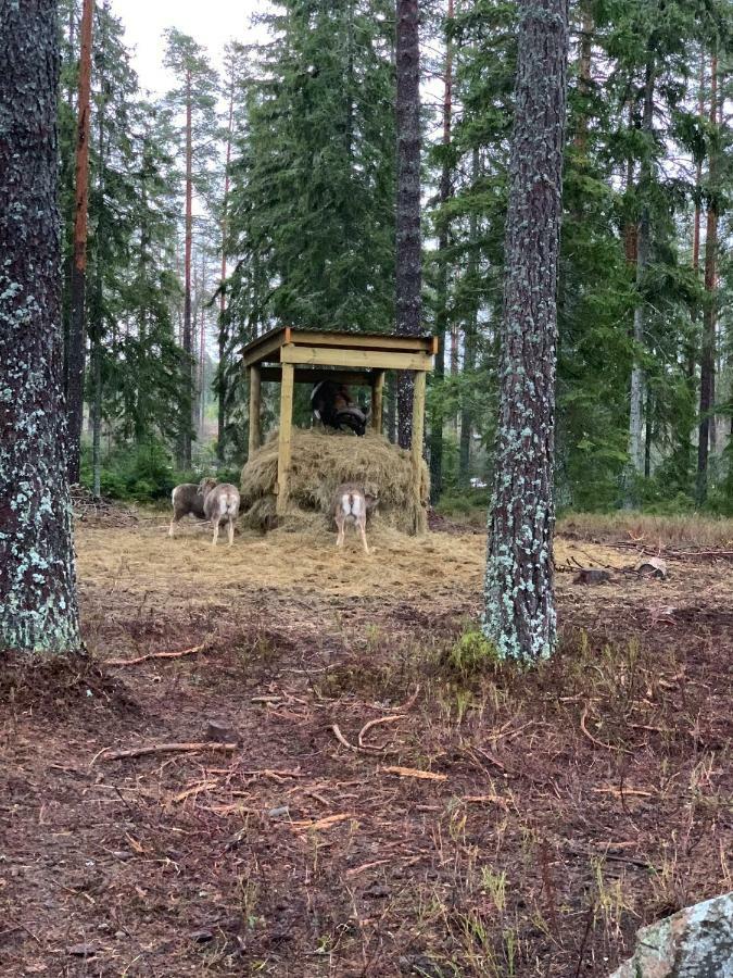 Cozy House In Kosta Center Surrounding With Swedish Nature Екстер'єр фото